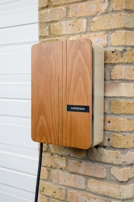 bg sync ev charger manual