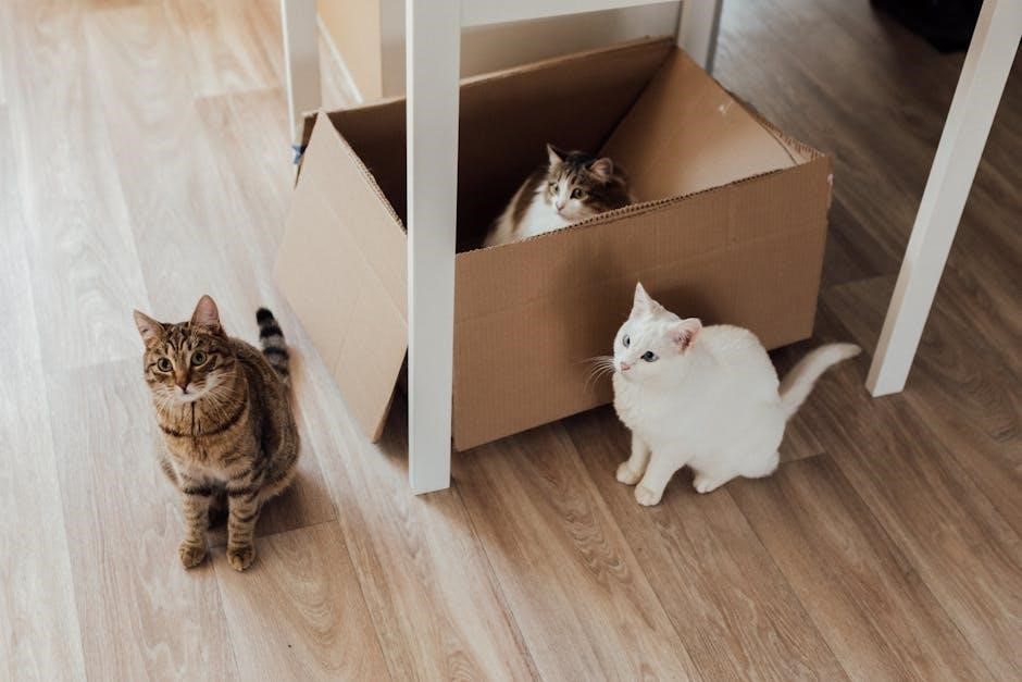 box and whisker plot worksheet with answers pdf
