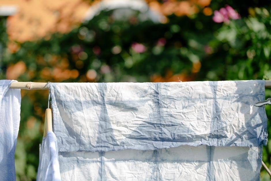 dash air fryer manual pdf